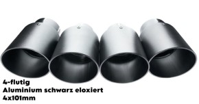 Exhaust.one Abgasanlage mit Klappenauspuff für BMW M2 F87 N55